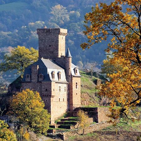 Chateau La Servayrie - Chambre D'Hotes Marcillac-Vallon 외부 사진