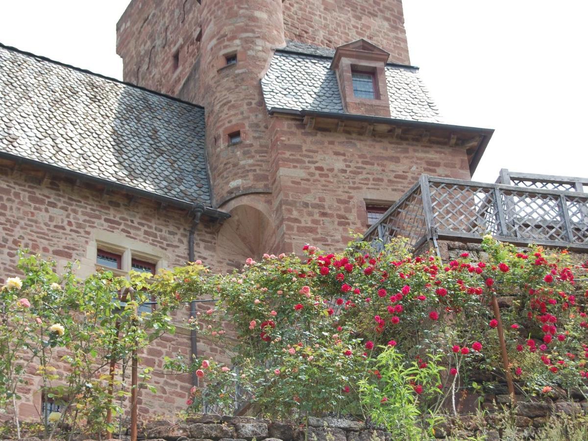 Chateau La Servayrie - Chambre D'Hotes Marcillac-Vallon 외부 사진