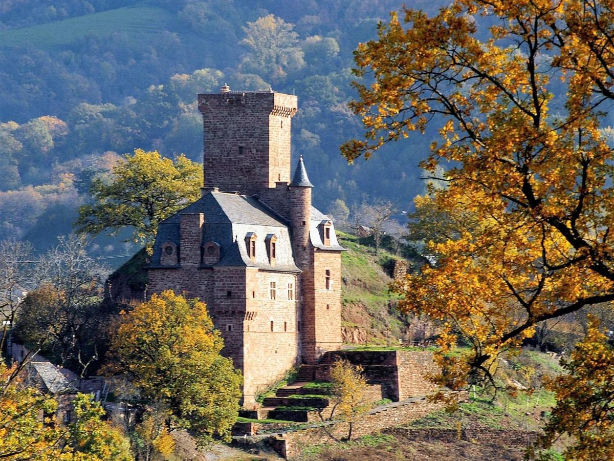 Chateau La Servayrie - Chambre D'Hotes Marcillac-Vallon 외부 사진